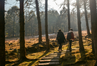 老年人唯美爱情语录63句