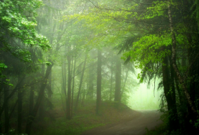 关于即将毕业的伤感语录