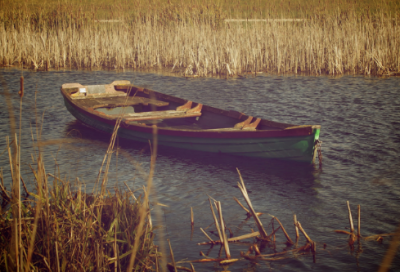 爱情爱人的语录