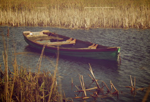 1761166073921045.png image.png