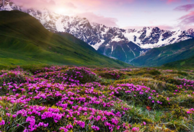 充满正能量简短晚安语录