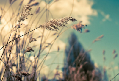 经典心情短语人生感悟 心情语录人生感悟