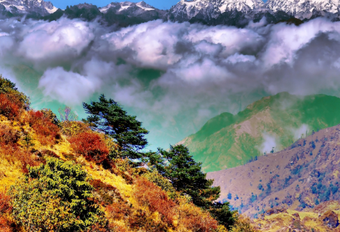 1761166738207081.png image.png