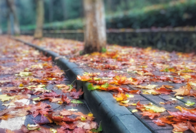 恋爱语录伤感文案 伤感语录文案