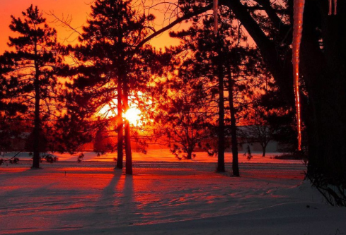 1761167237848896.png image.png