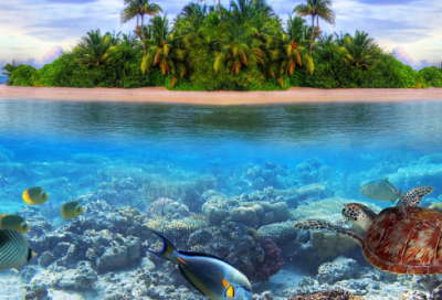 简洁的心情语录微博