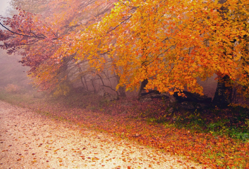 1761168068720061.png image.png