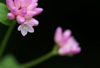 简爱经典语录中英文