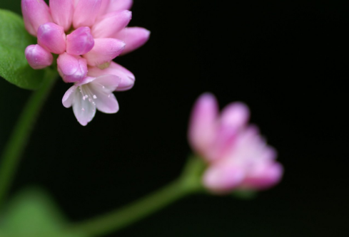 1761168899753827.png image.png