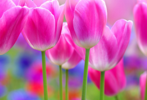 1761169065920066.png image.png