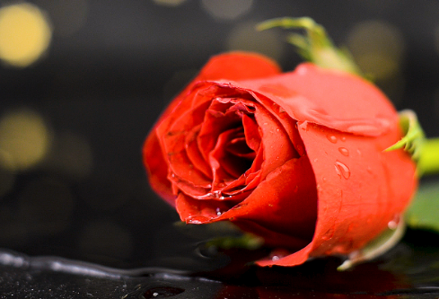 1761171065453043.png image.png