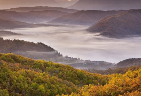 1761171564821794.png image.png