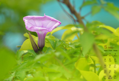 甜蜜爱情的经典语录