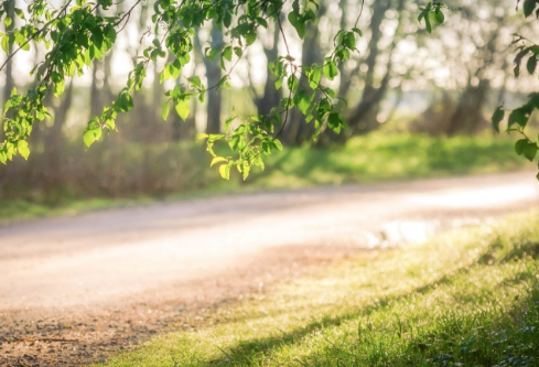 1761172064473481.png image.png