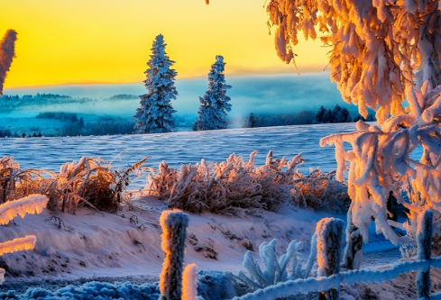 1761172396343261.png image.png