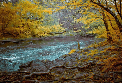 1761172729545102.png image.png