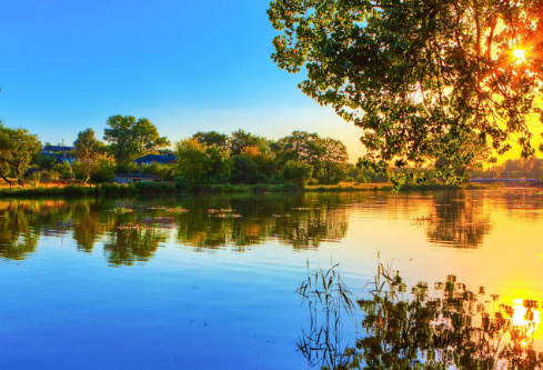 1761173061847701.png image.png