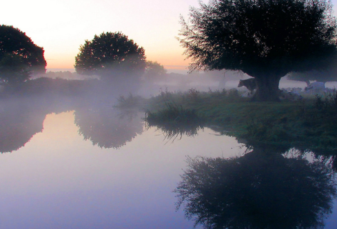 1761173893947807.png image.png