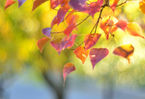 1761174392762176.png image.png