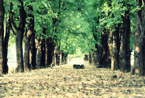 1761175058399416.png image.png