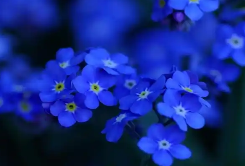 1761175390333740.png image.png