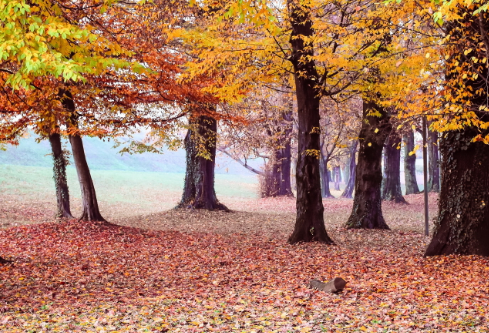 1761176056360788.png image.png