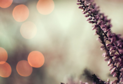 爱情美文语录81句