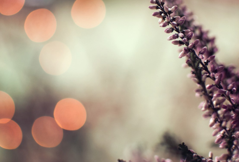 1761177220703445.png image.png