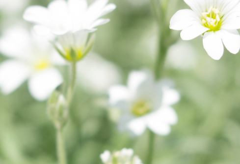 1761177386295617.png image.png