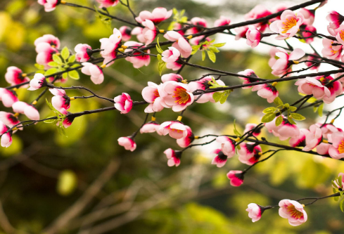 1761177718909517.png image.png