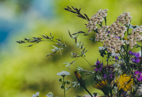 1761177885826361.png image.png