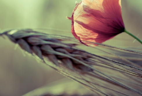 1761178051107847.png image.png