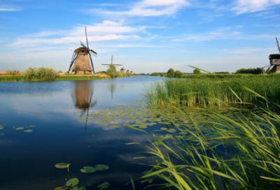 张爱玲爱情唯美语录