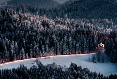 心灵鸡汤经典语录中英文句子