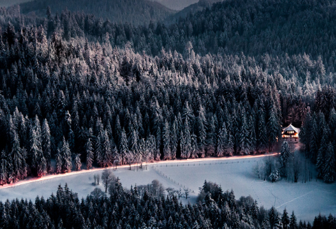 1761178882576255.png image.png