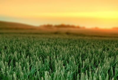 大暑节气文艺语录