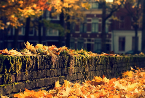 1761179880677735.png image.png