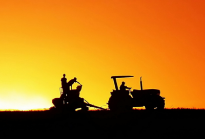 表达夫妻幸福情感语录