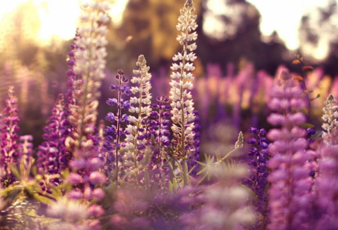 1761181377475169.png image.png