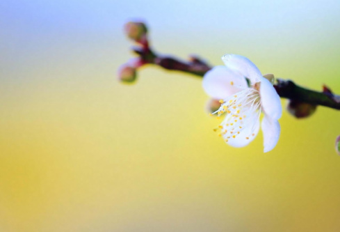 1761181542468485.png image.png