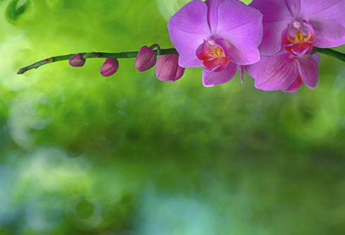 1761181875326126.png image.png