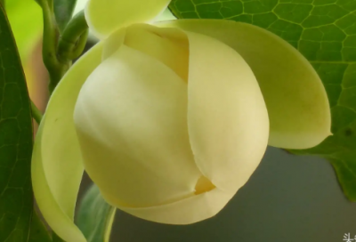 宝宝入园的经典语录 宝贝上幼儿园心情说说