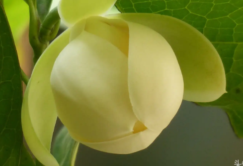 1761182041768543.png image.png