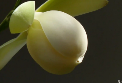 时间会告诉我们所有的一切短句 你是什么样的人经典语录