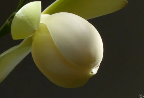 1761182540898616.png image.png