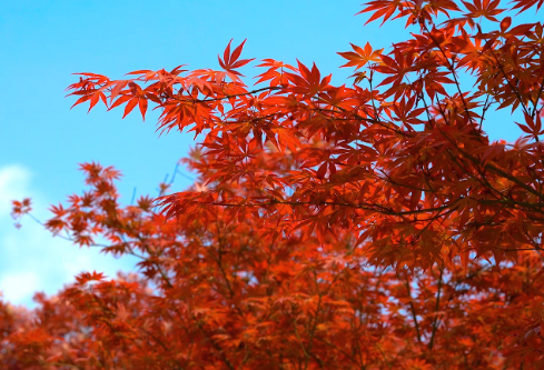 1761183371822361.png image.png