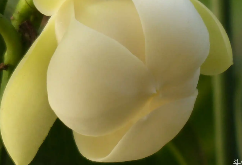 1761183538814032.png image.png