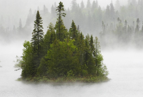 1761184203788703.png image.png