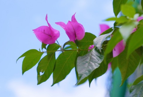 1761184535532515.png image.png