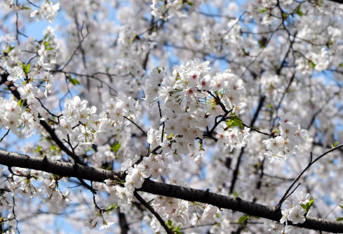 1761184868278186.png image.png